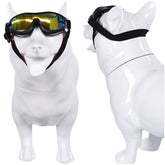 The Bad Guys 2025 Mr. Wolf Haustier Hund Schutzbrille Cosplay Requisite